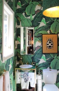 palm leaf wallpaper