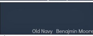 navy paint chip