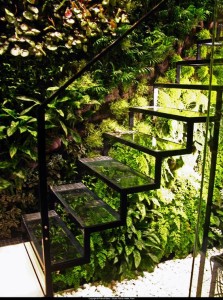 Living Staircase glass and plants