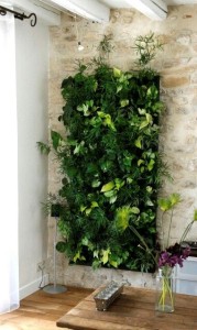 Living Wall on rough stone